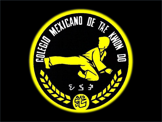 31 Años de experiencia nos respaldan
