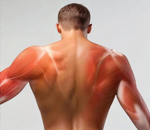 Een massage voor mannen vraagt om een andere aanpak dan een massage voor vrouwen. Het mannenlichaam heeft gemiddeld meer spiermassa en bouwt spanning vaak dieper op, vooral in de rug, schouders en nek. Werkstress, sport en langdurig zitten zorgen ervoor dat klachten zich opstapelen. Bij Body Care voor Mannen richten we ons volledig op deze klachten: doelgericht, stevig waar nodig en ontspannend waar het kan. Geen standaard ontspanningsmassage, maar een behandeling die past bij jouw lichaam.