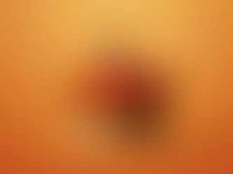 Onze openingstijden rond Koningsdag