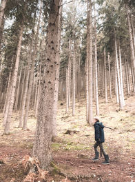 Studio Hermine I Wandelen en spelen in het bos
