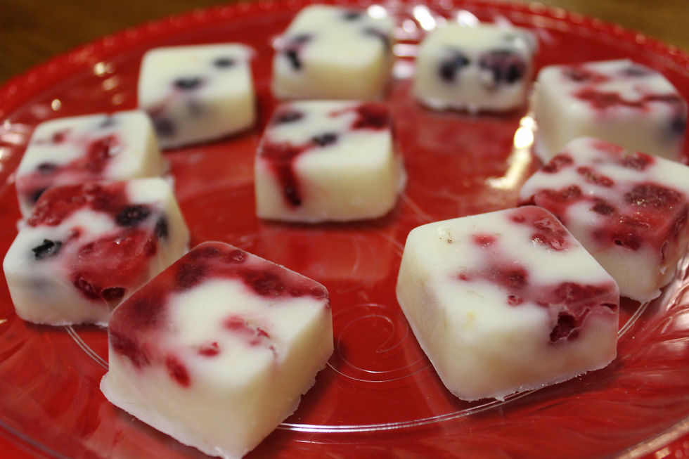Fruit Yogurt Bites