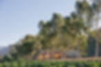 Luxury, Wedding, Franschhoek, Destination wedding, Bride, Groom, Beautiful, Top venues SA, Top venue