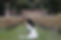 Sulet Fourie.jpg