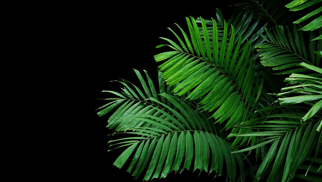 AdobeStock_235443070.jpeg