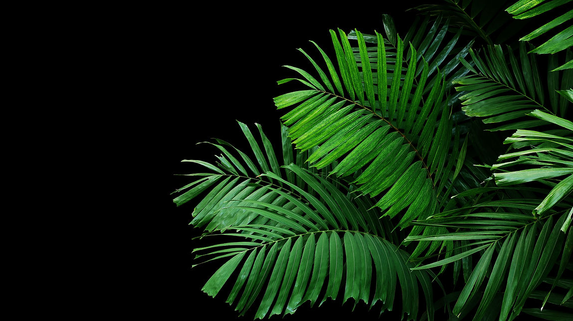AdobeStock_235443070.jpeg