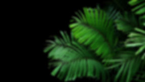 AdobeStock_235443070.jpeg