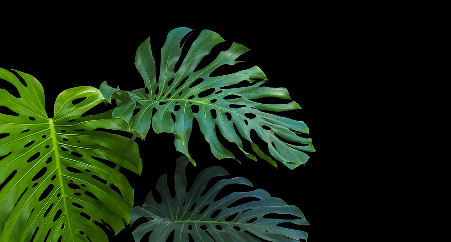 AdobeStock_169772756.jpeg