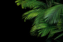 AdobeStock_162211054.jpeg