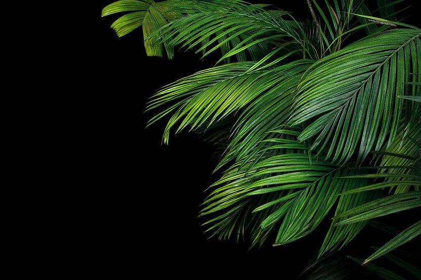 AdobeStock_162211054.jpeg