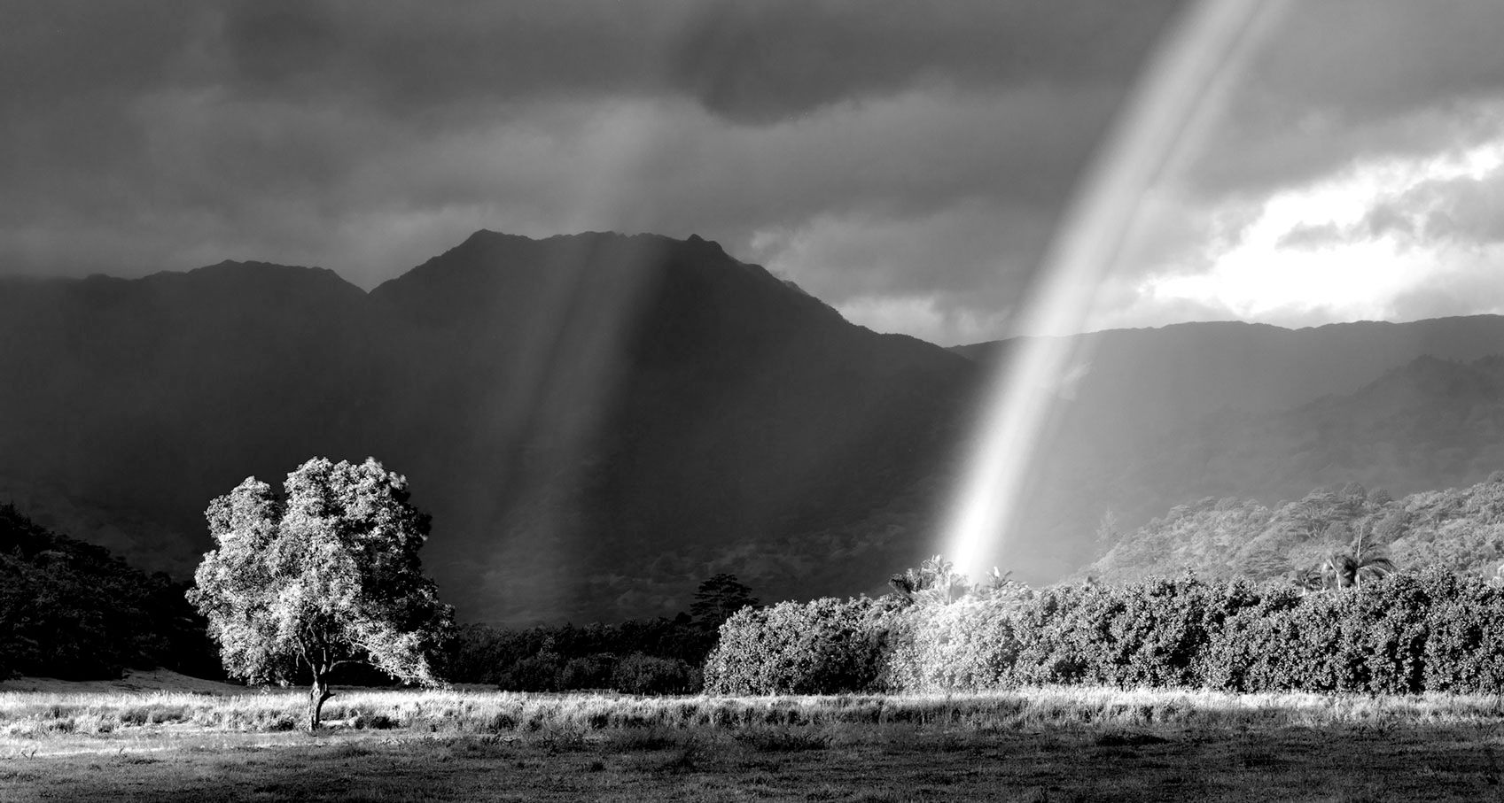 Hawaii in Black and White ed. 3