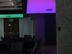 Barbican coloured ceilings