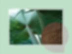 composicion1-1