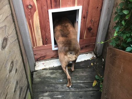 Behind the Door