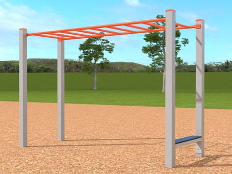 LESSONS FROM THE MONKEY BARS I