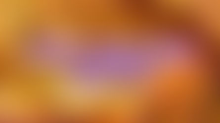 נומילי פטיסרי הוד השרון.