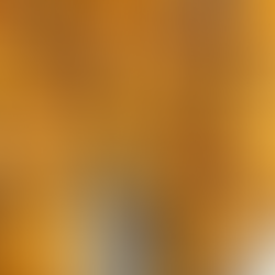 בואו נעשה פשטידת פיצפוצי אורז של סיגל