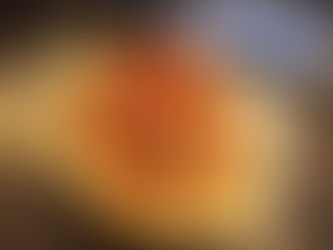 פוקצ'ה פרגיות