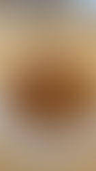 בואו נעשה עוגת לוטוס ללא אפיה