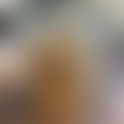 בואו נעשה בסקוטי שוקולד