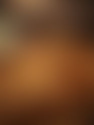 לחמניות גבינה