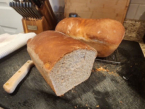 Fresh Milled "HARD WHITE" Wheat Berry Flour