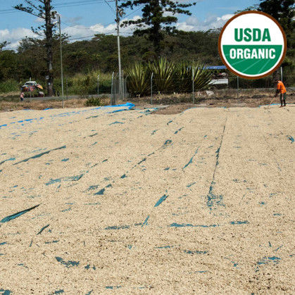 Thumbnail: 16oz Papua New Guinea – 100% Arabica - Single Origin