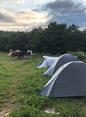 Randonnée à cheval