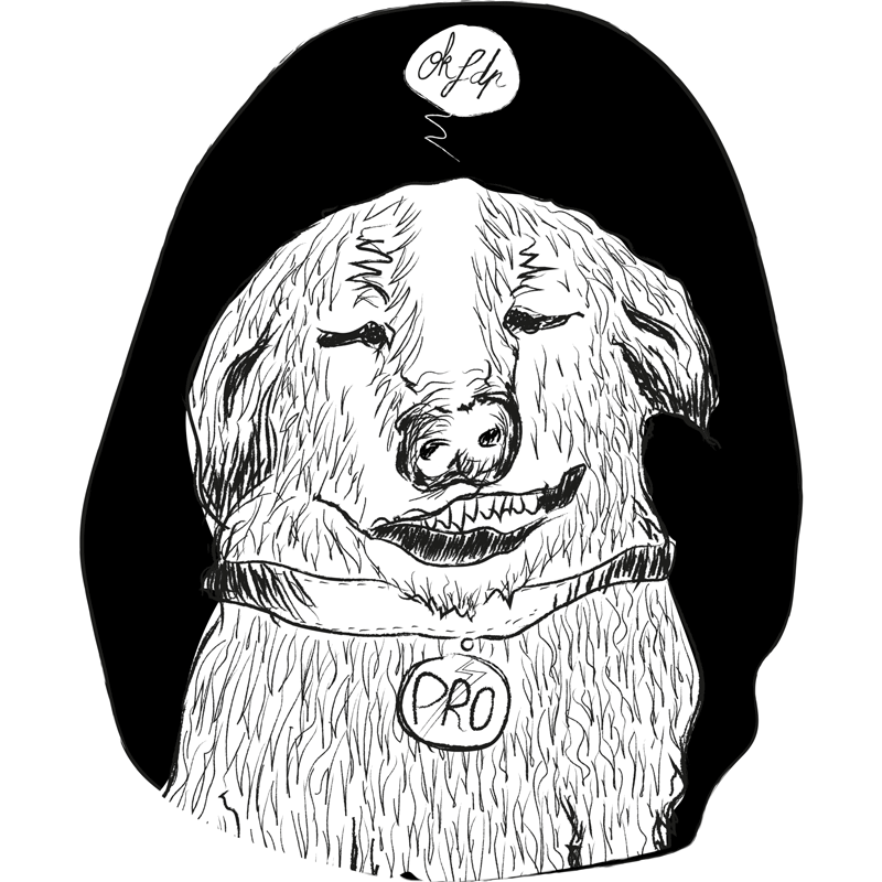 dog