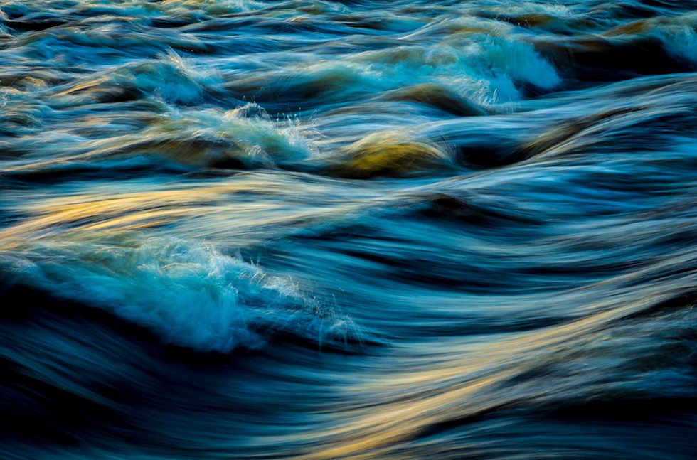 living:body – emdodied:flow