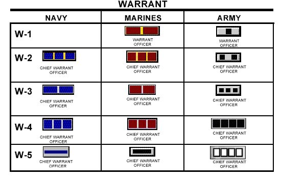 warrant officer.gif