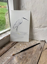 Egret blank greetings card
