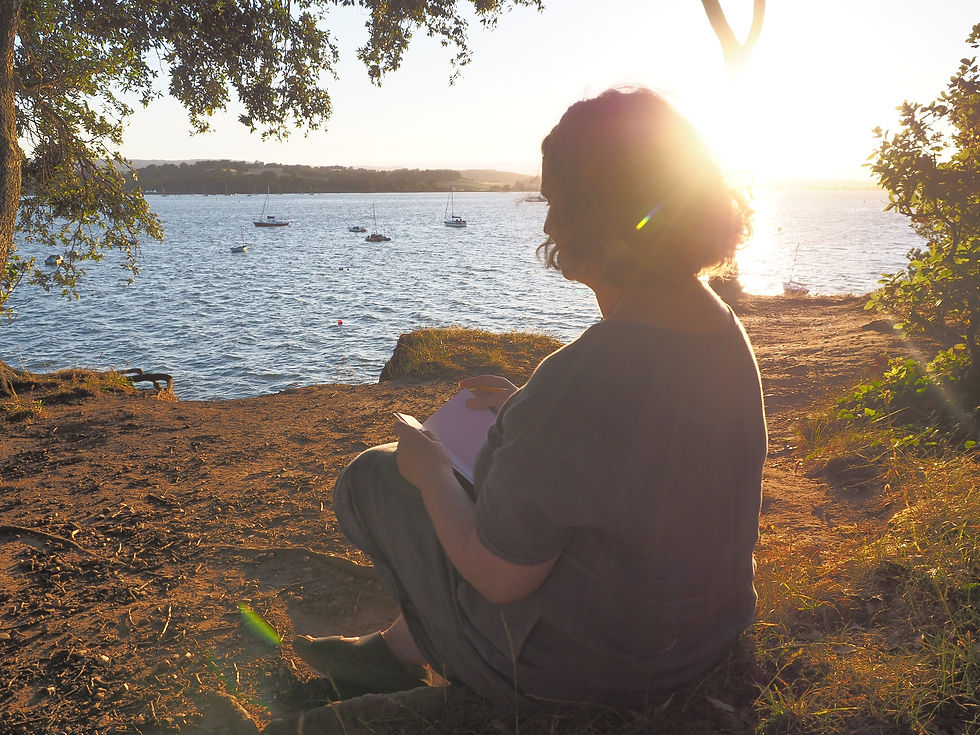 Thumbnail: Journal  Gulls over Lympstone