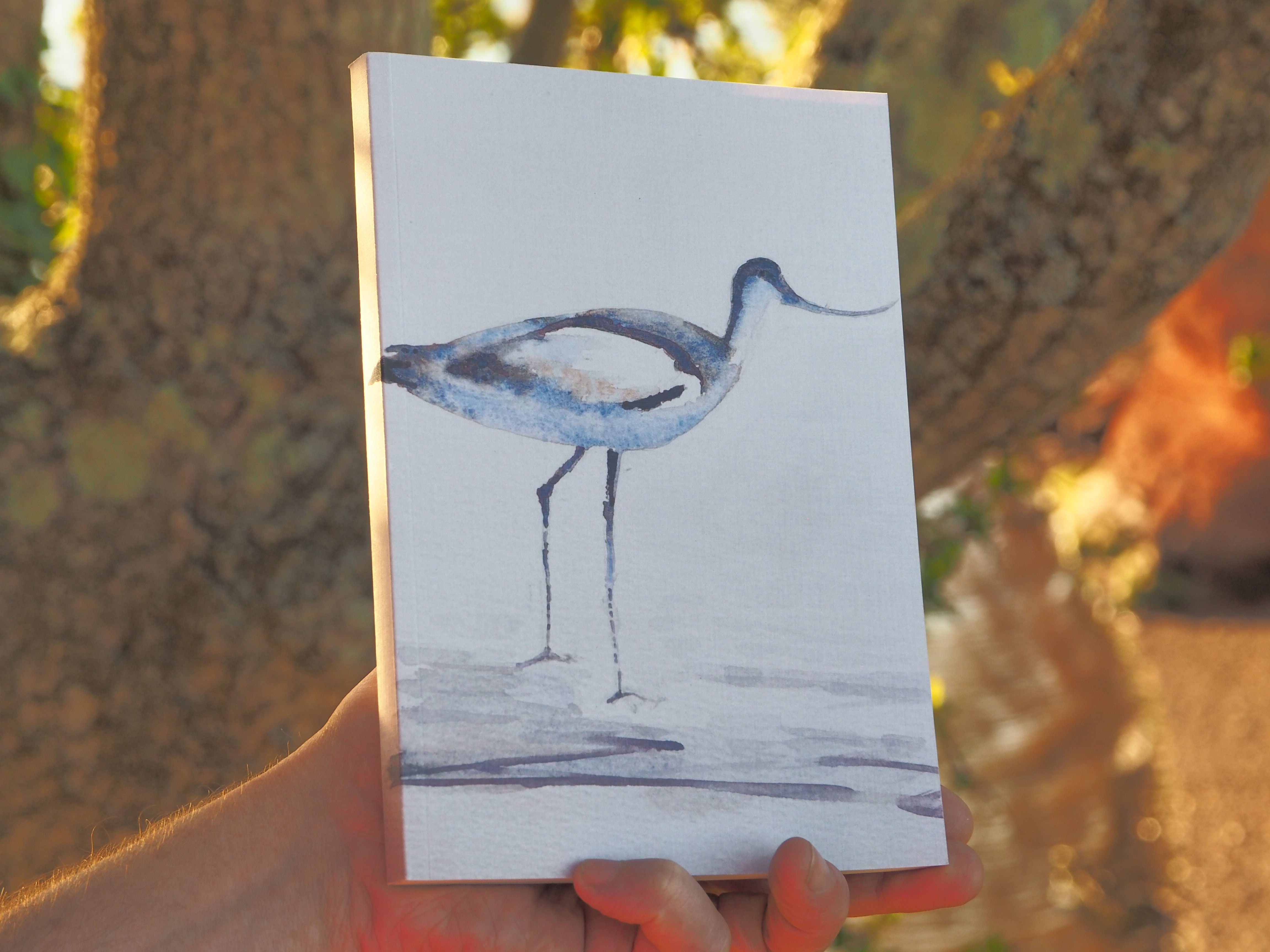Journal Avocet