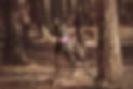17349677_724332997745221_4056508817309899190_o.jpg