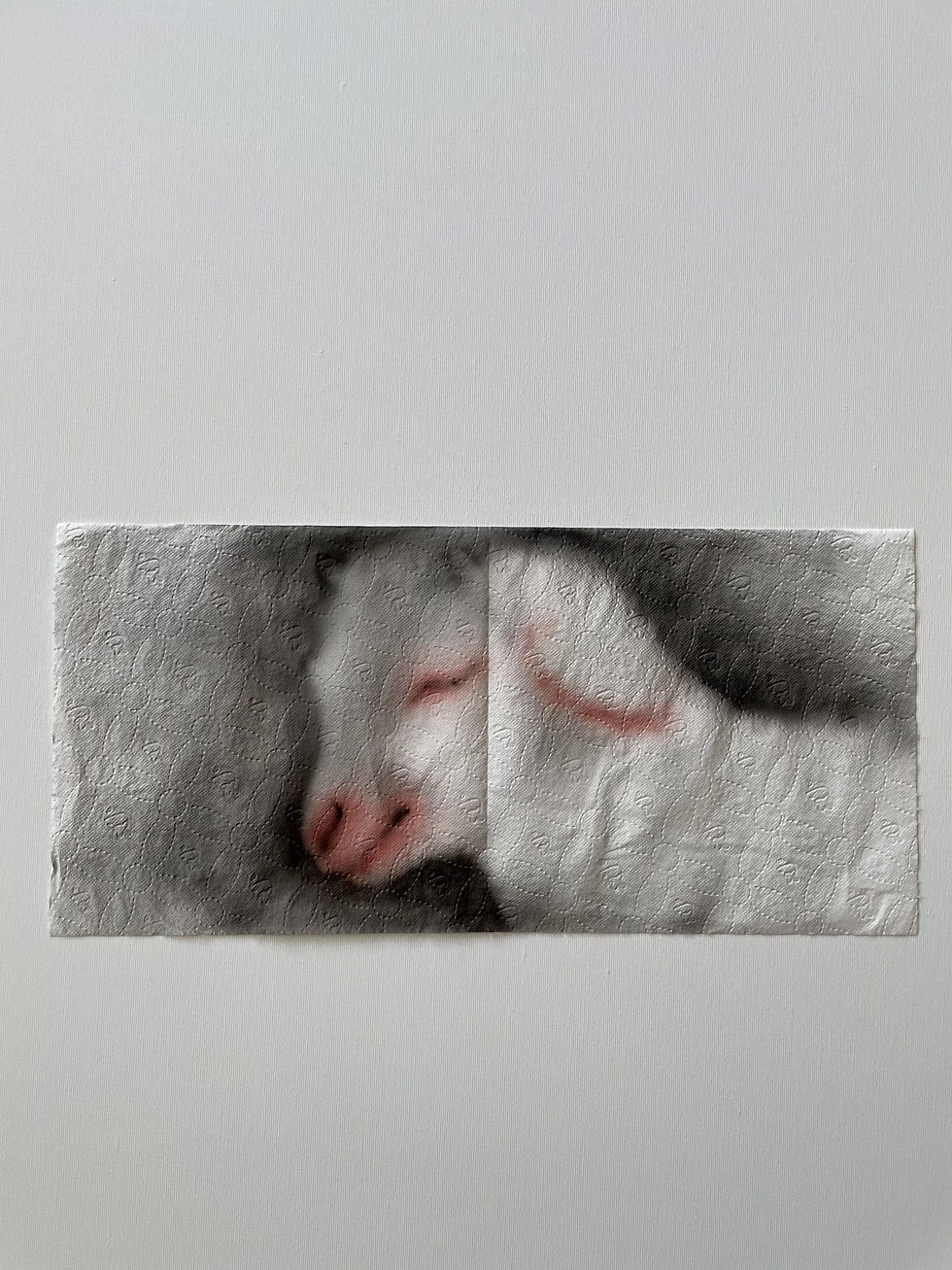Scapegoat/ Disposable, Helena Minginowicz. 2024 
