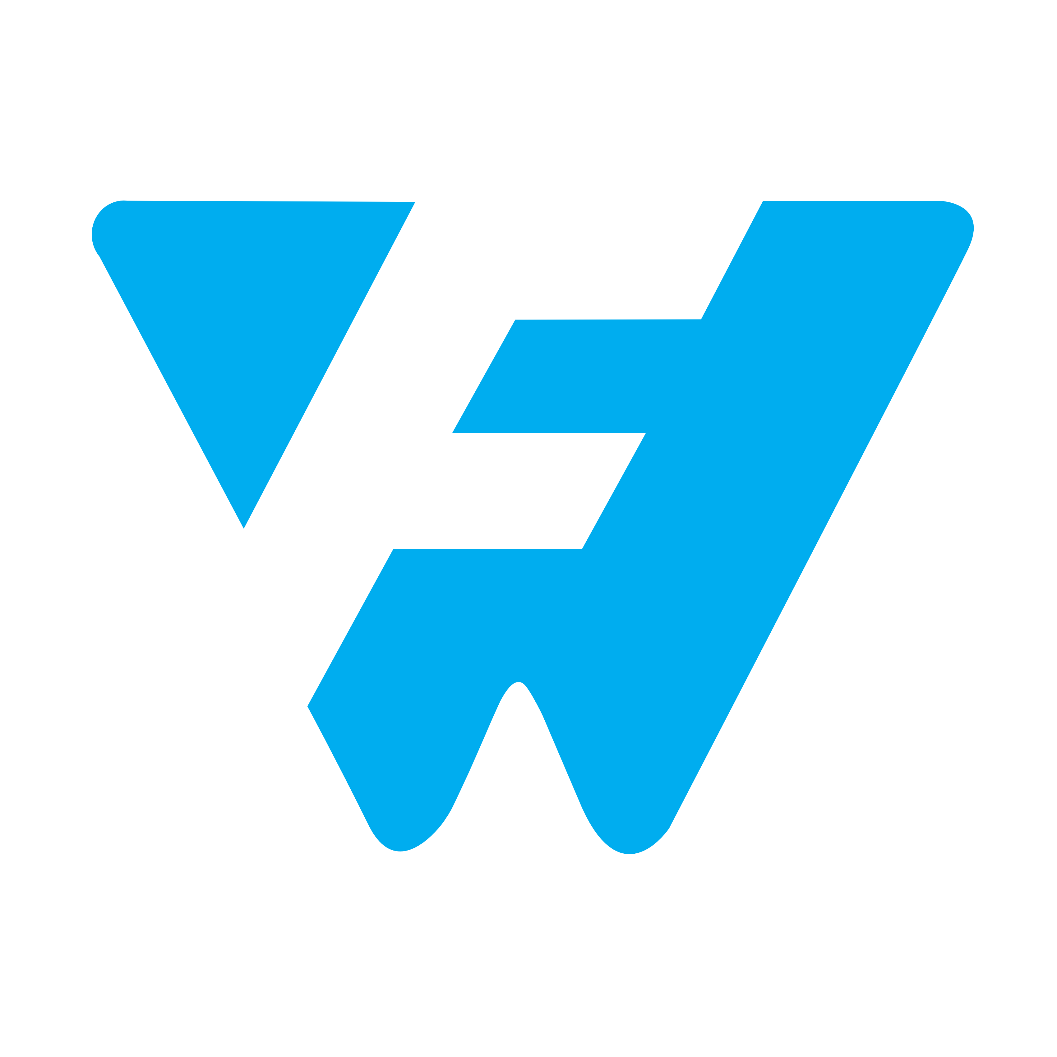 NEW FW Logo .png