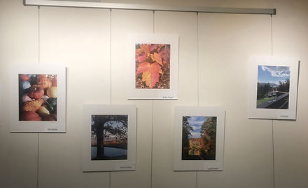 Exhibit left side.jpeg
