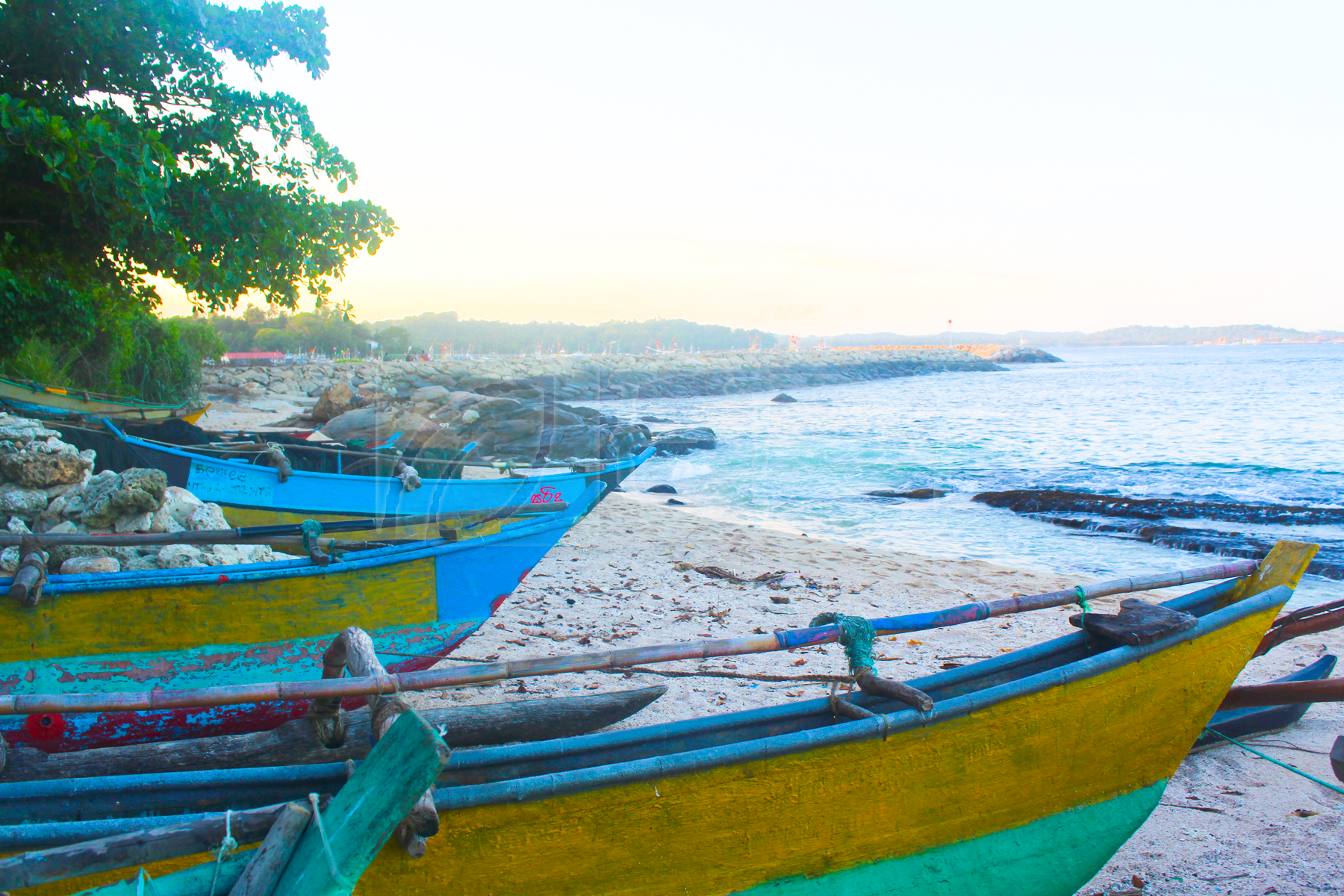 Fishing boats