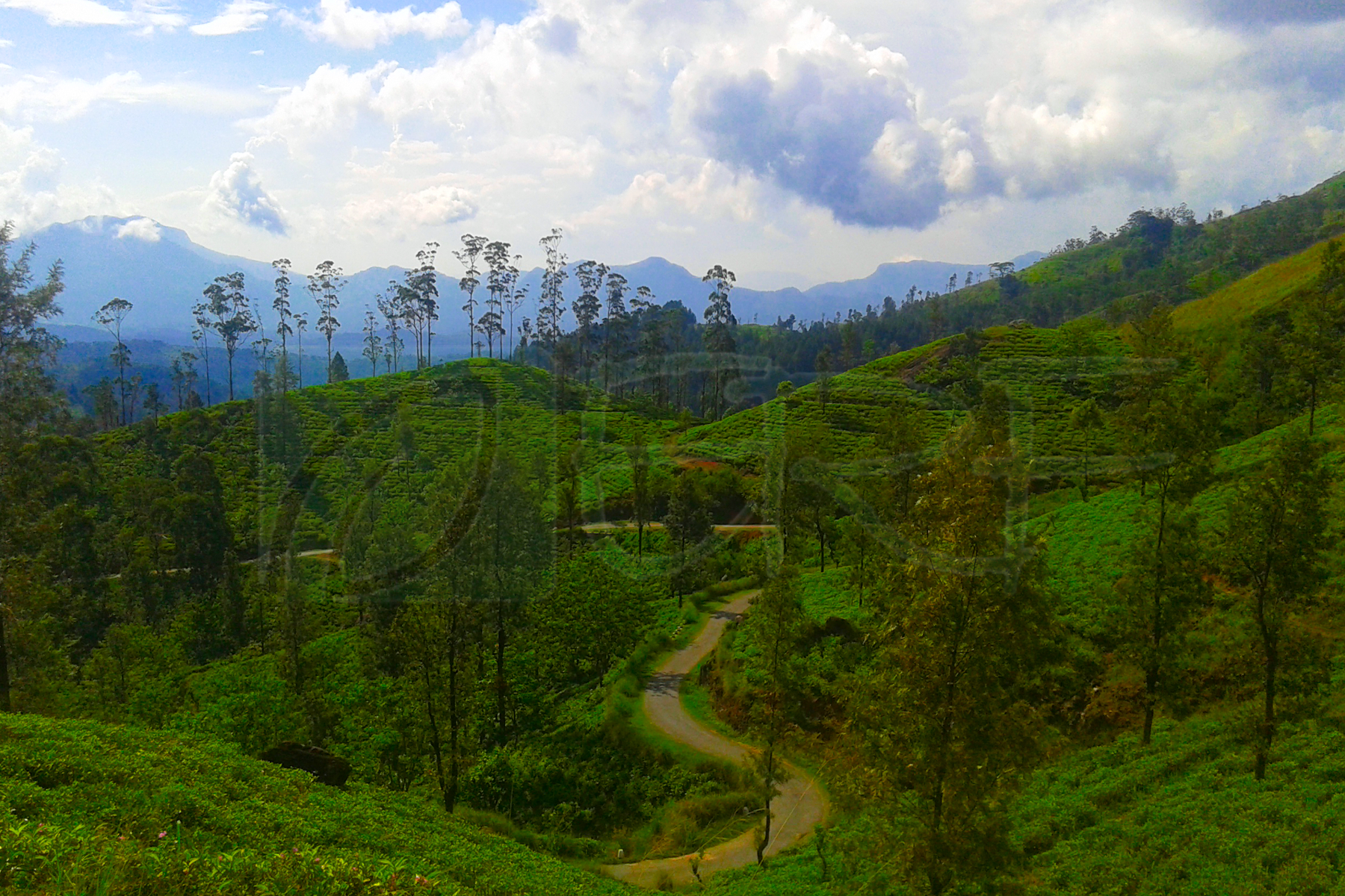 Hill country landscape in Sri Lanka