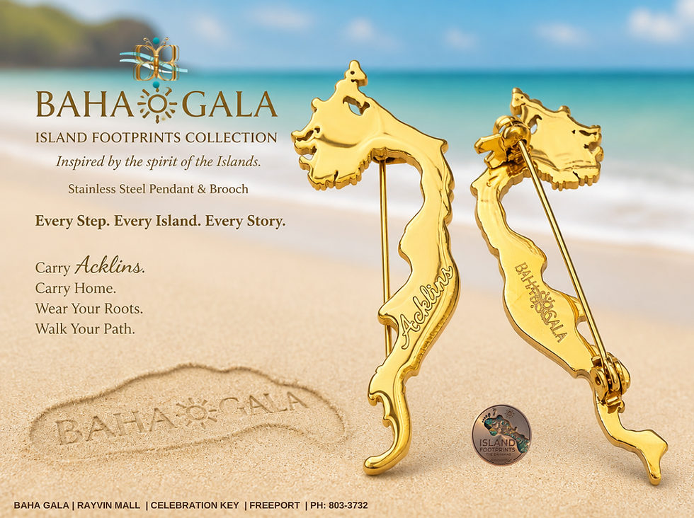 Thumbnail: Acklins Island Silhouette Pin/Brooch in S/Steel Gold