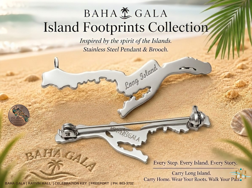 Thumbnail: Long Island Silhouette Pin/Brooch in S/Steel Silver
