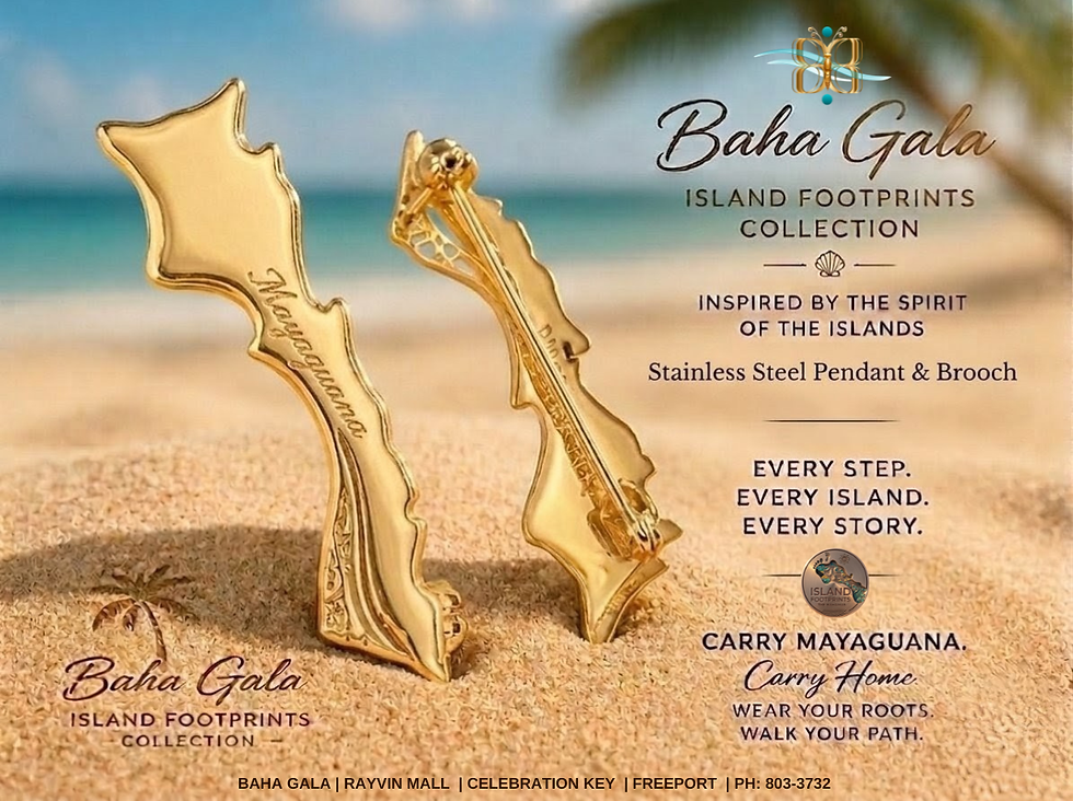 Thumbnail: Mayaguana Island Silhouette Pin/Brooch in S/Steel Silver