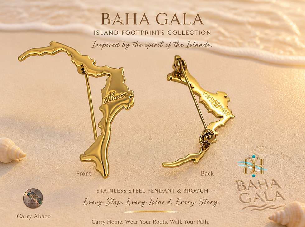 Abaco Pin_Brooch