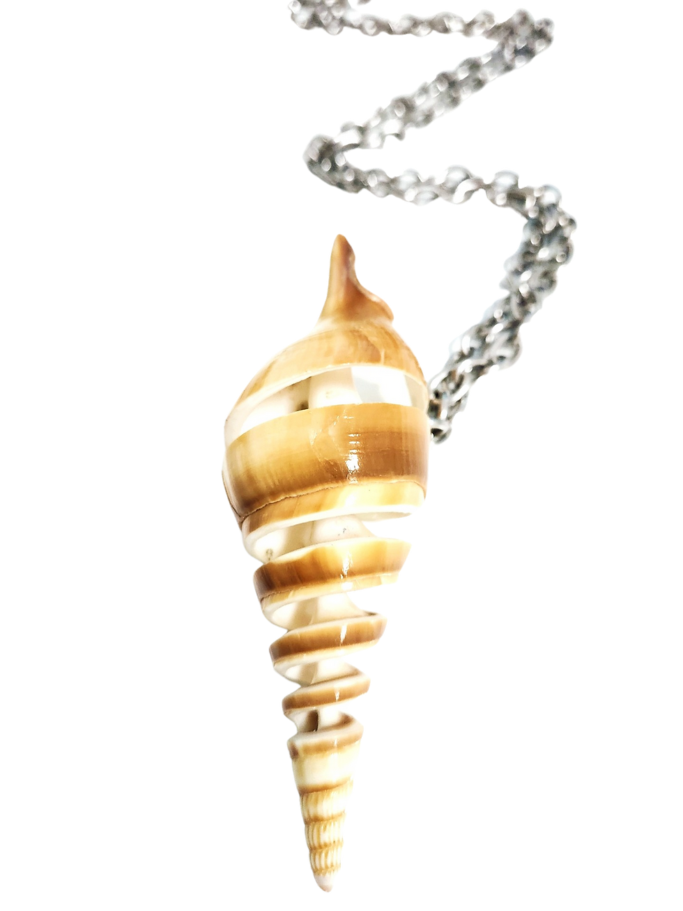 Thumbnail: Large Spiral Carved Conch Shell Opera Necklace. 