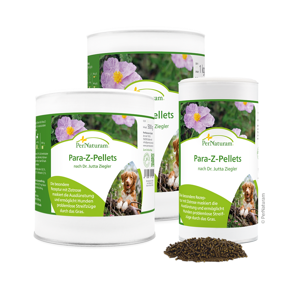 Drei Dosen Para-Z-Pellets für Hunde