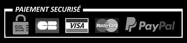 paypal-icon.gray_.jpg
