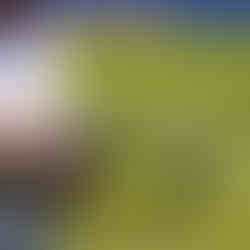 DJI Agras T100 industrial drone for dust suppression and mine rehabilitation in Western Australia