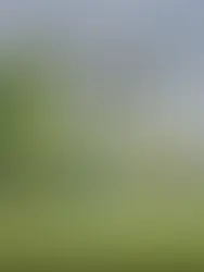 MagPilot heavy-lift industrial drone DJI Agras T50 performing precision aerial spraying for mining and agricultural applications in Western Australia.