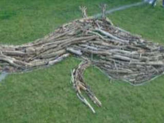 Year 1 outdoor learning