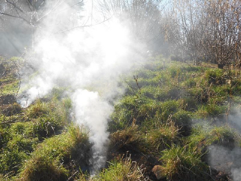 A Mysterious Discovery in the Wildlife Area